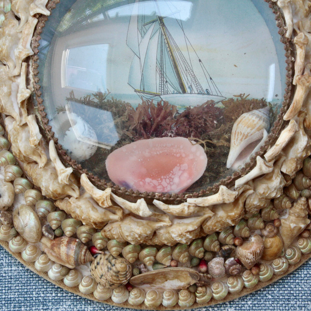 
                  
                    z ... sold ... victorian shell keepsake seaside souvenir valentine
                  
                