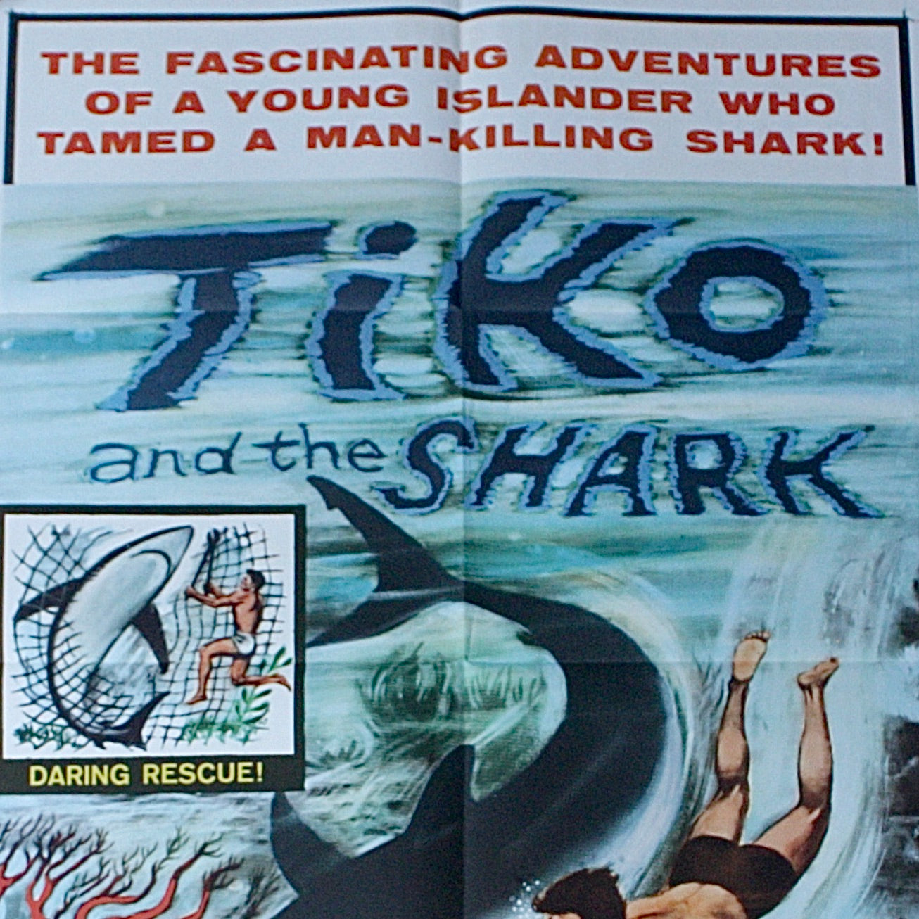 
                  
                    " Tiko and the Shark " cinema poster
                  
                