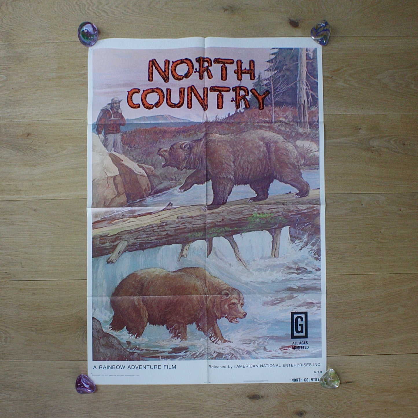 
                  
                    "north country" original cinema poster
                  
                