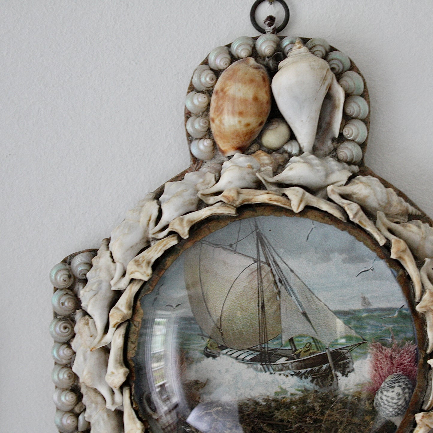 
                  
                    sailors valentine, a victorian keepsake shell anchor
                  
                