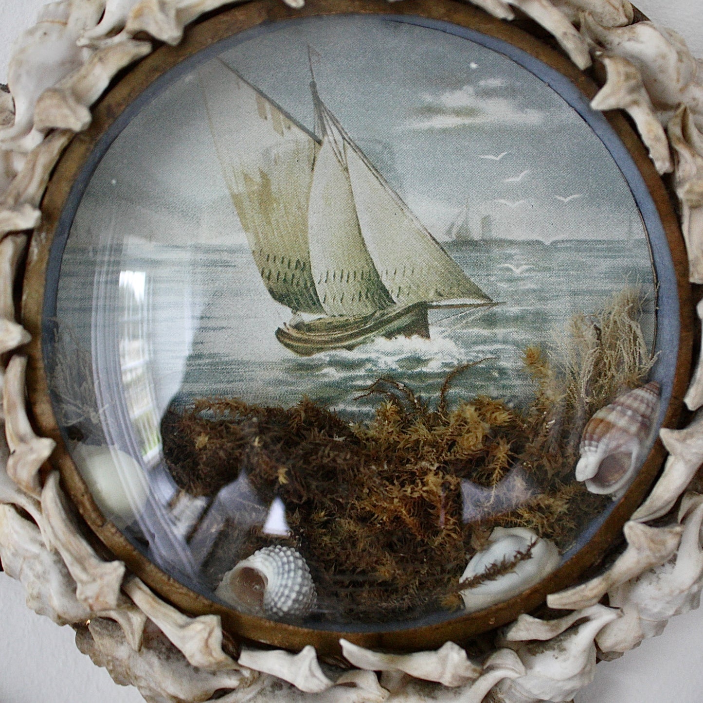 
                  
                    sailors valentine. a victorian shell keepsake anchor
                  
                