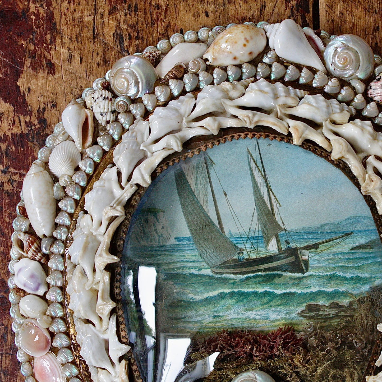 
                  
                    sailors valentine, victorian keepsake shell lucky horseshoe.
                  
                