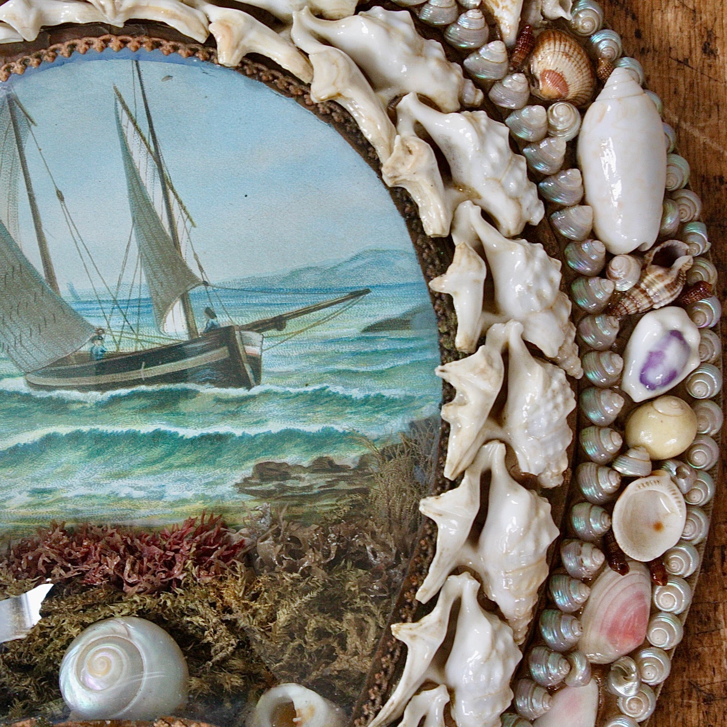 
                  
                    sailors valentine, victorian keepsake shell lucky horseshoe.
                  
                