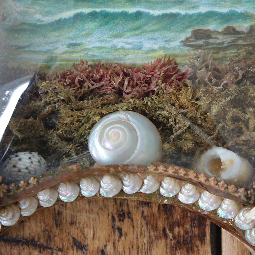 
                  
                    sailors valentine, victorian keepsake shell lucky horseshoe.
                  
                