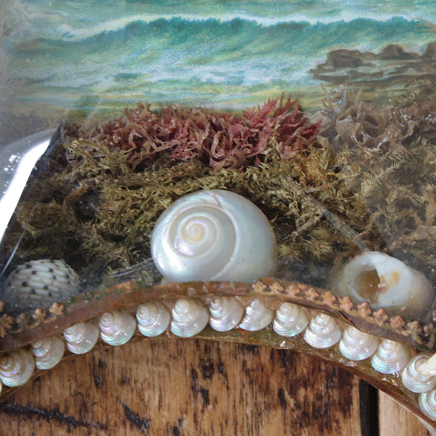 
                  
                    sailors valentine, victorian keepsake shell lucky horseshoe.
                  
                