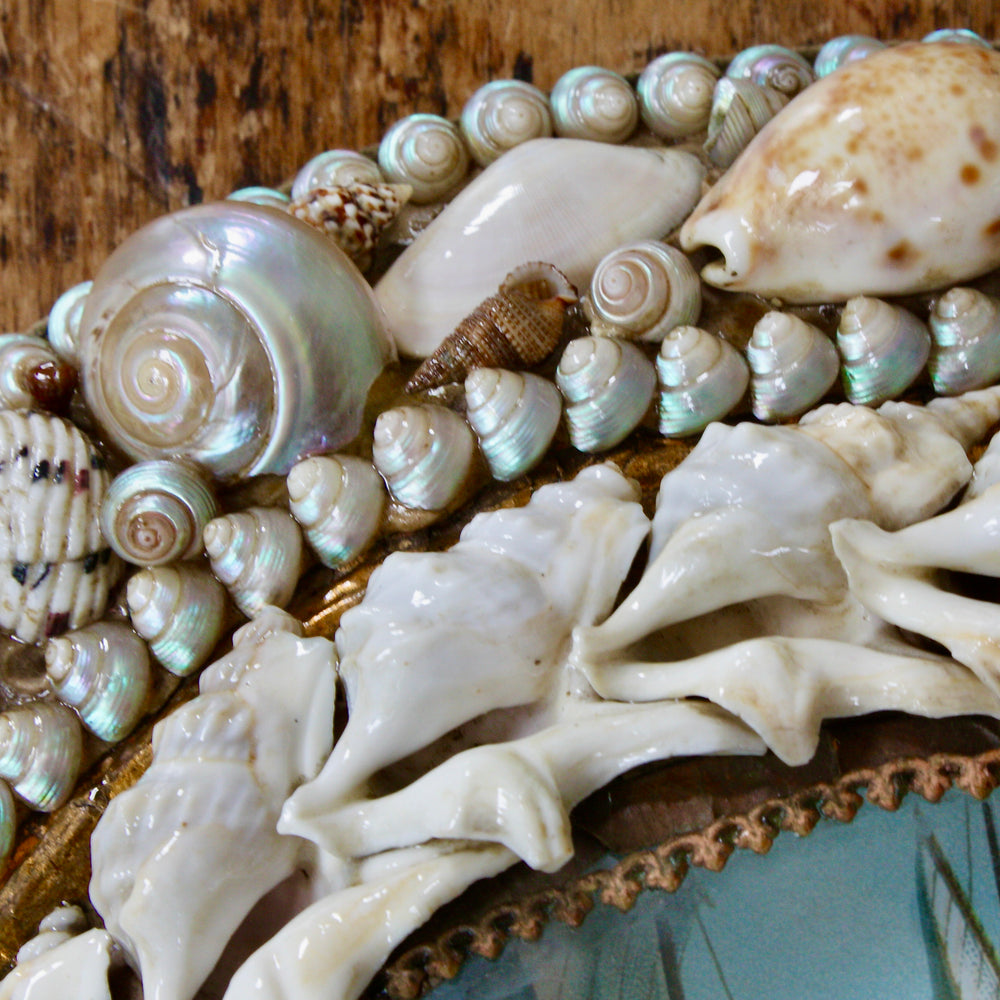 
                  
                    sailors valentine, victorian keepsake shell lucky horseshoe.
                  
                
