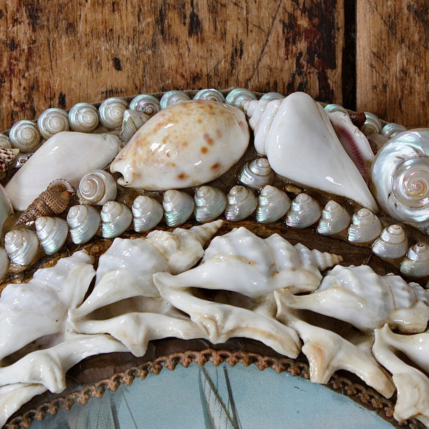 
                  
                    sailors valentine, victorian keepsake shell lucky horseshoe.
                  
                