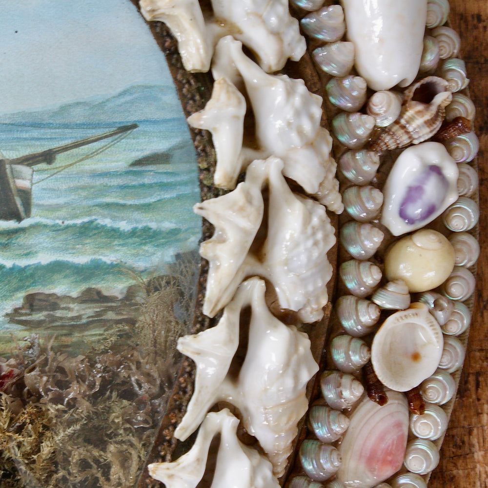 
                  
                    sailors valentine, victorian keepsake shell lucky horseshoe.
                  
                