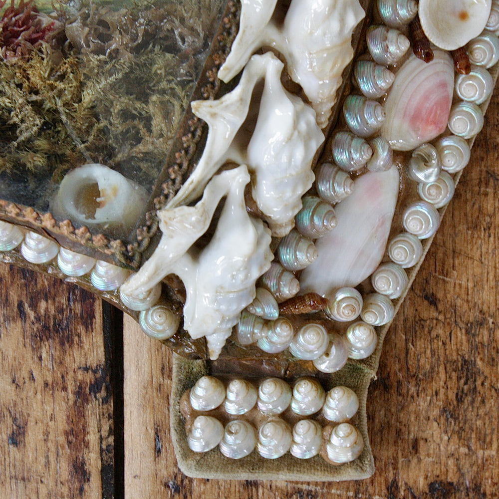 
                  
                    sailors valentine, victorian keepsake shell lucky horseshoe.
                  
                