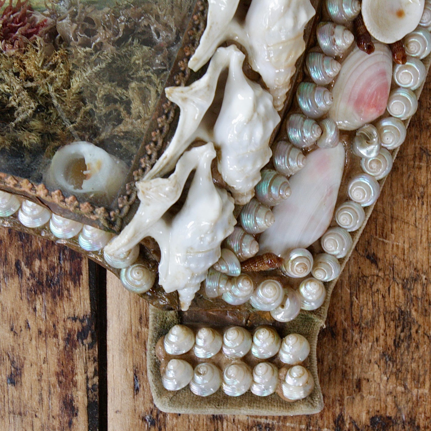 
                  
                    sailors valentine, victorian keepsake shell lucky horseshoe.
                  
                