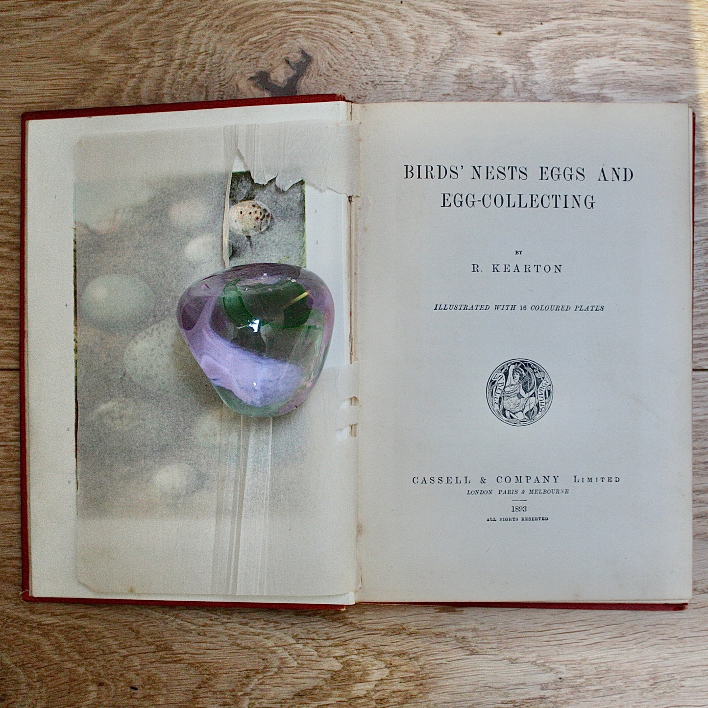 
                  
                    birds nests, eggs and egg- collecting by r. kearton.
                  
                