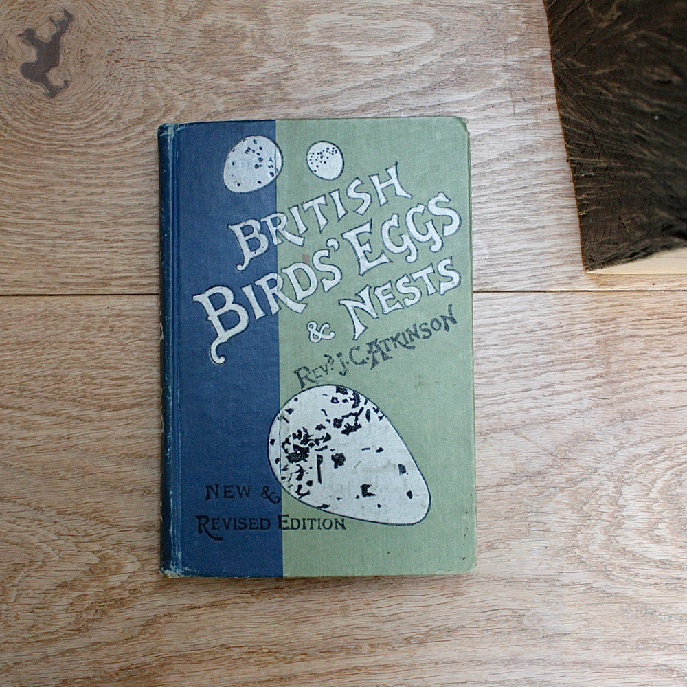 british birds eggs and nests , new & revised edition by Revd. j.c.atkinson.