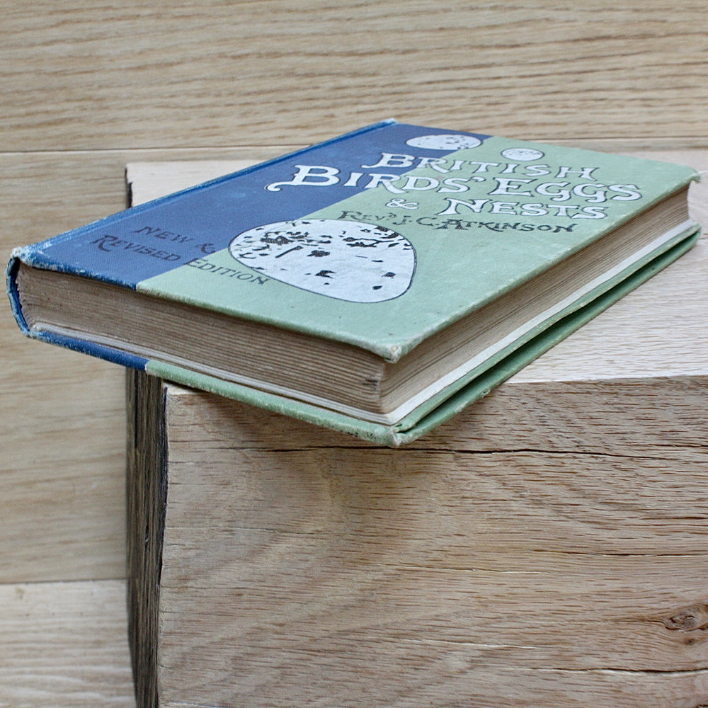 
                  
                    british birds eggs and nests , new & revised edition by Revd. j.c.atkinson.
                  
                