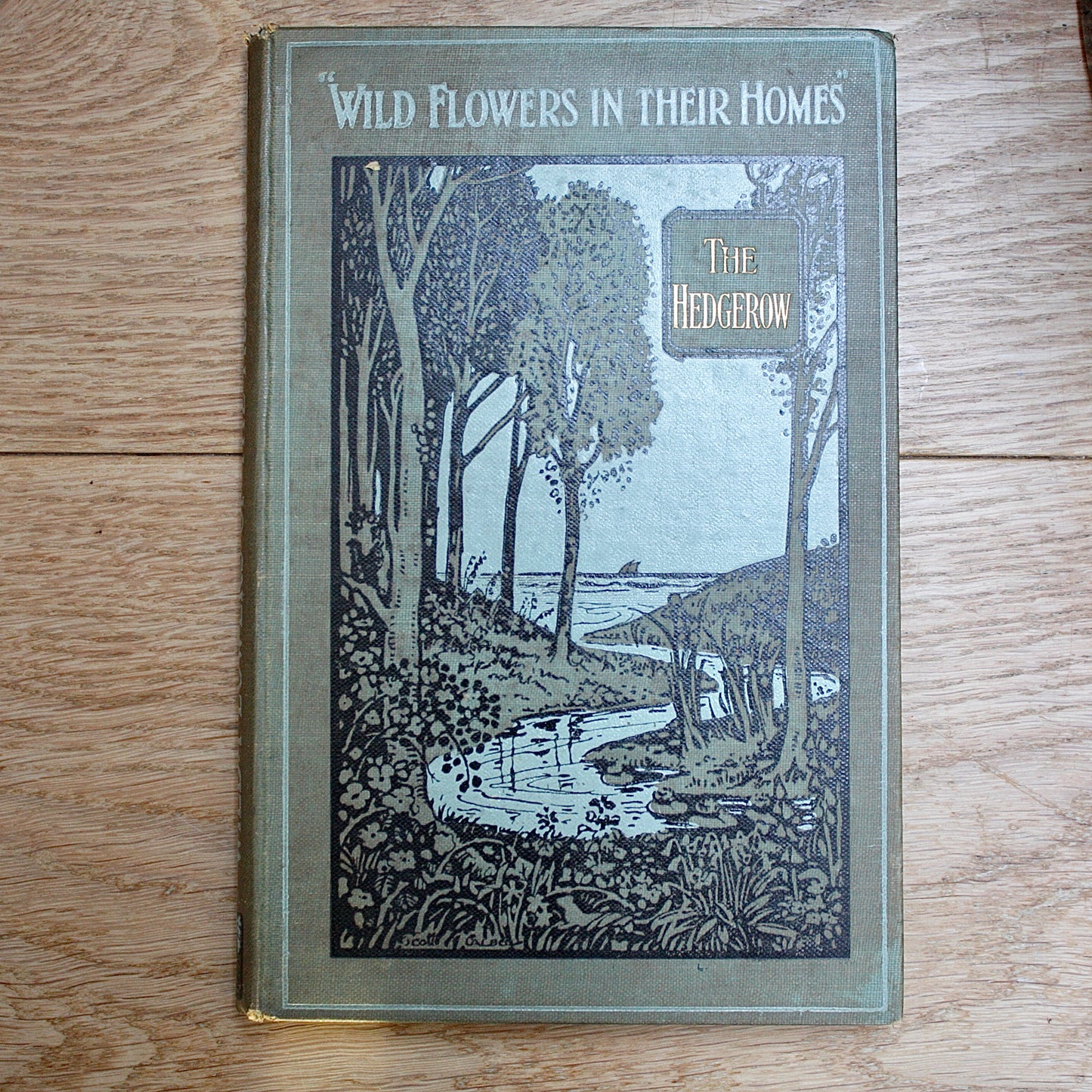 
                  
                    the hedgerow "wild flowers in their homes" by w.percival westell,d.s.c' f.l.s.
                  
                