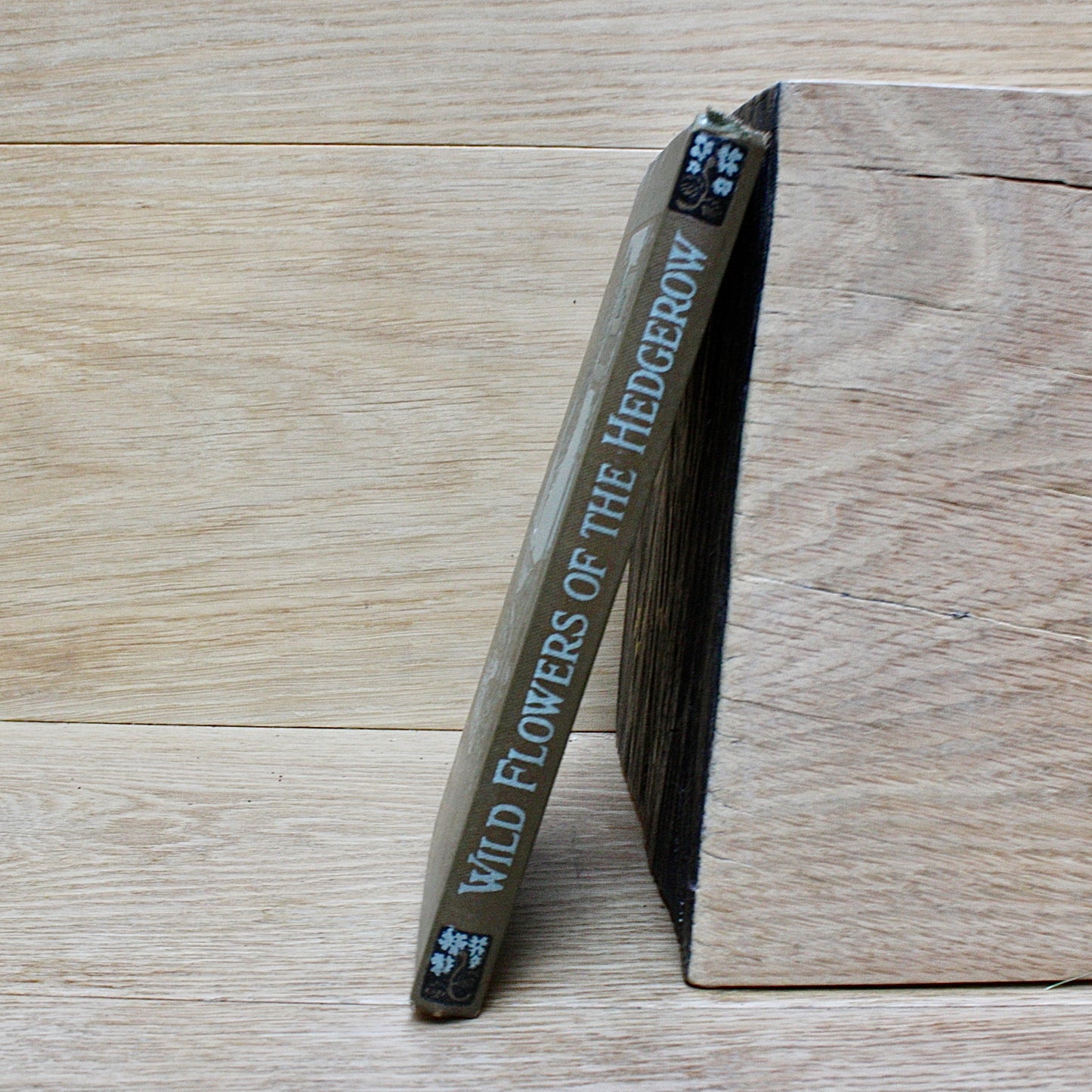 
                  
                    the hedgerow "wild flowers in their homes" by w.percival westell,d.s.c' f.l.s.
                  
                