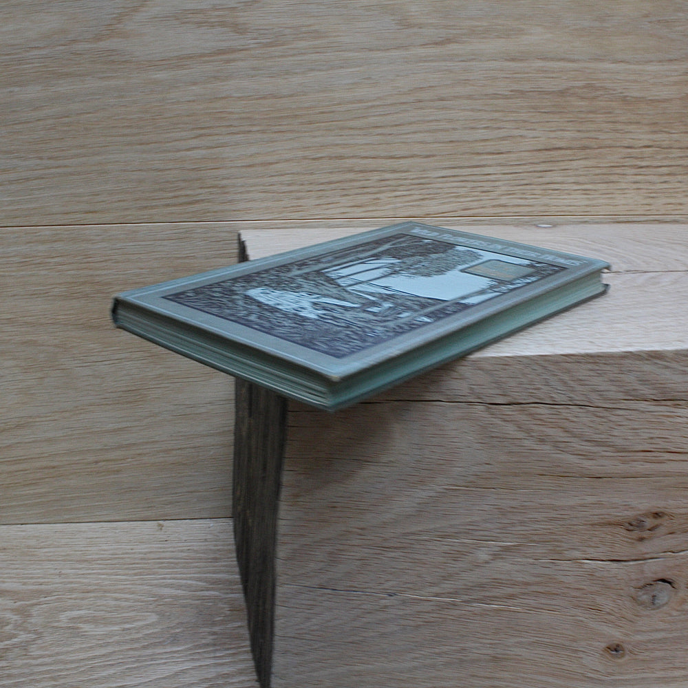 
                  
                    the hedgerow "wild flowers in their homes" by w.percival westell,d.s.c' f.l.s.
                  
                