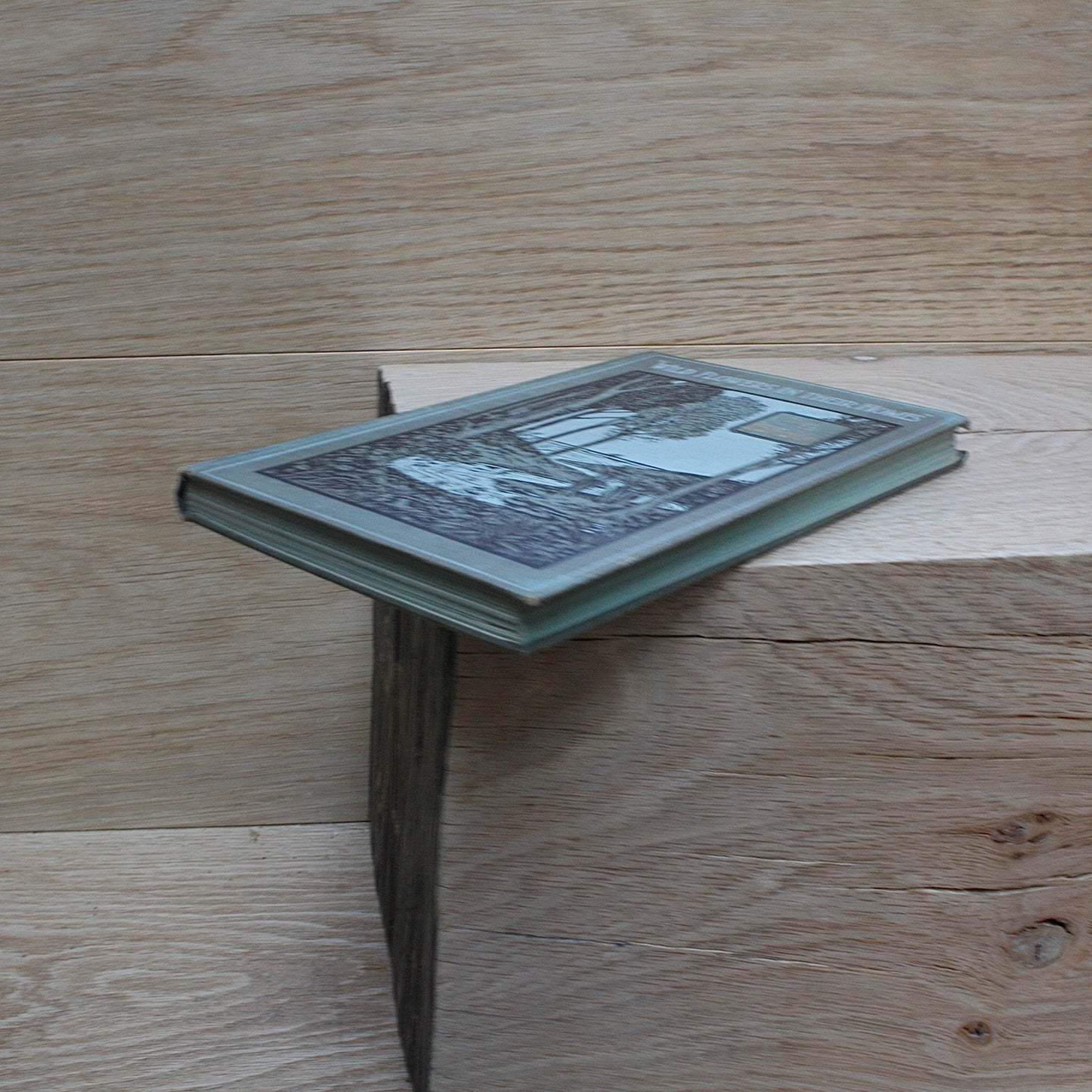 
                  
                    the hedgerow "wild flowers in their homes" by w.percival westell,d.s.c' f.l.s.
                  
                