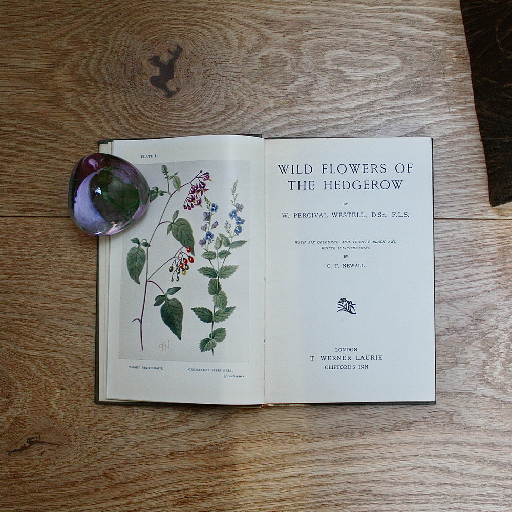 
                  
                    the hedgerow "wild flowers in their homes" by w.percival westell,d.s.c' f.l.s.
                  
                