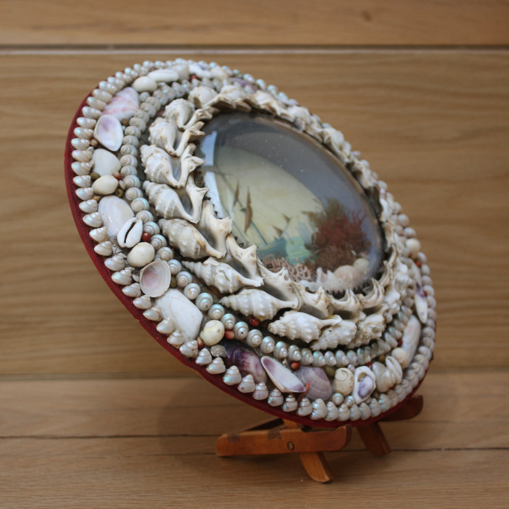 
                  
                    z ... sold ...  victorian shell diorama seaside souvenir keepsake
                  
                