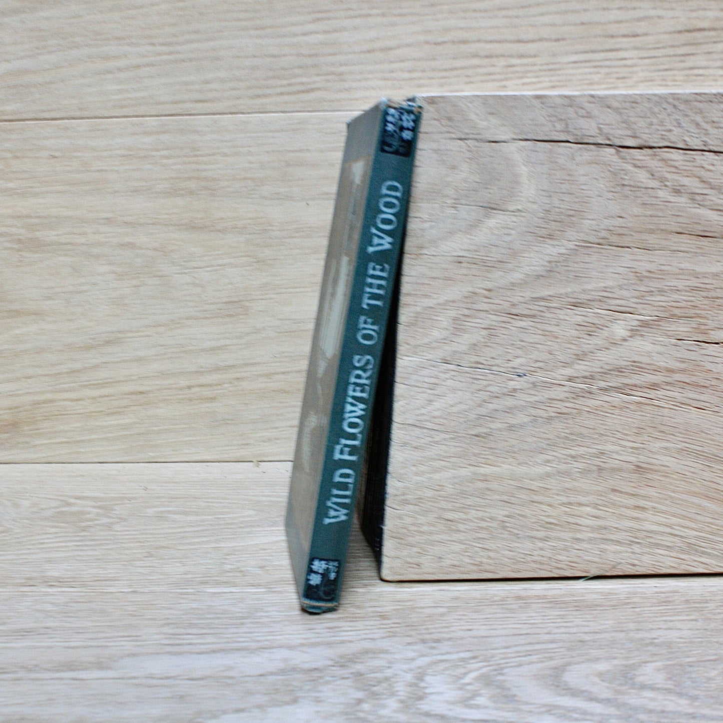 
                  
                    the wood "wild flowers in their homes" by w.percival westell,d.s.c' f.l.s.
                  
                