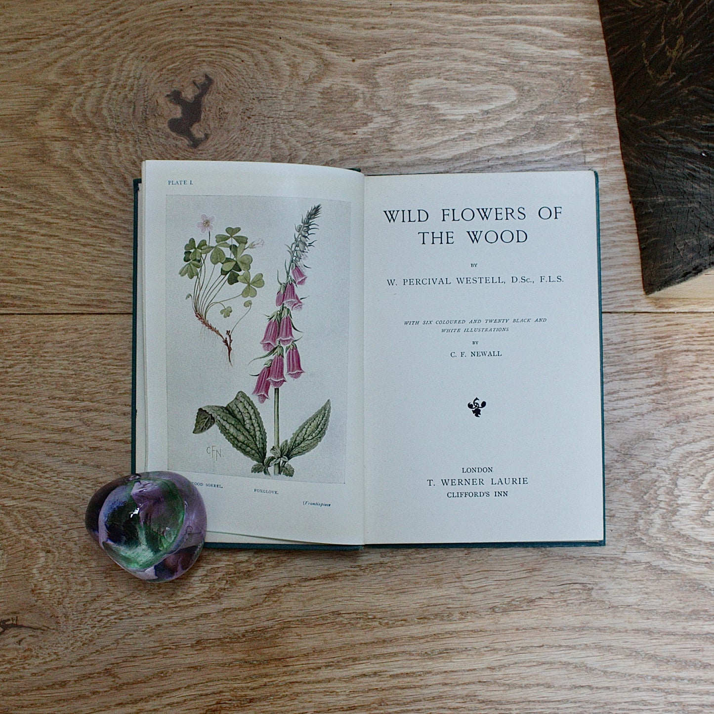 
                  
                    the wood "wild flowers in their homes" by w.percival westell,d.s.c' f.l.s.
                  
                