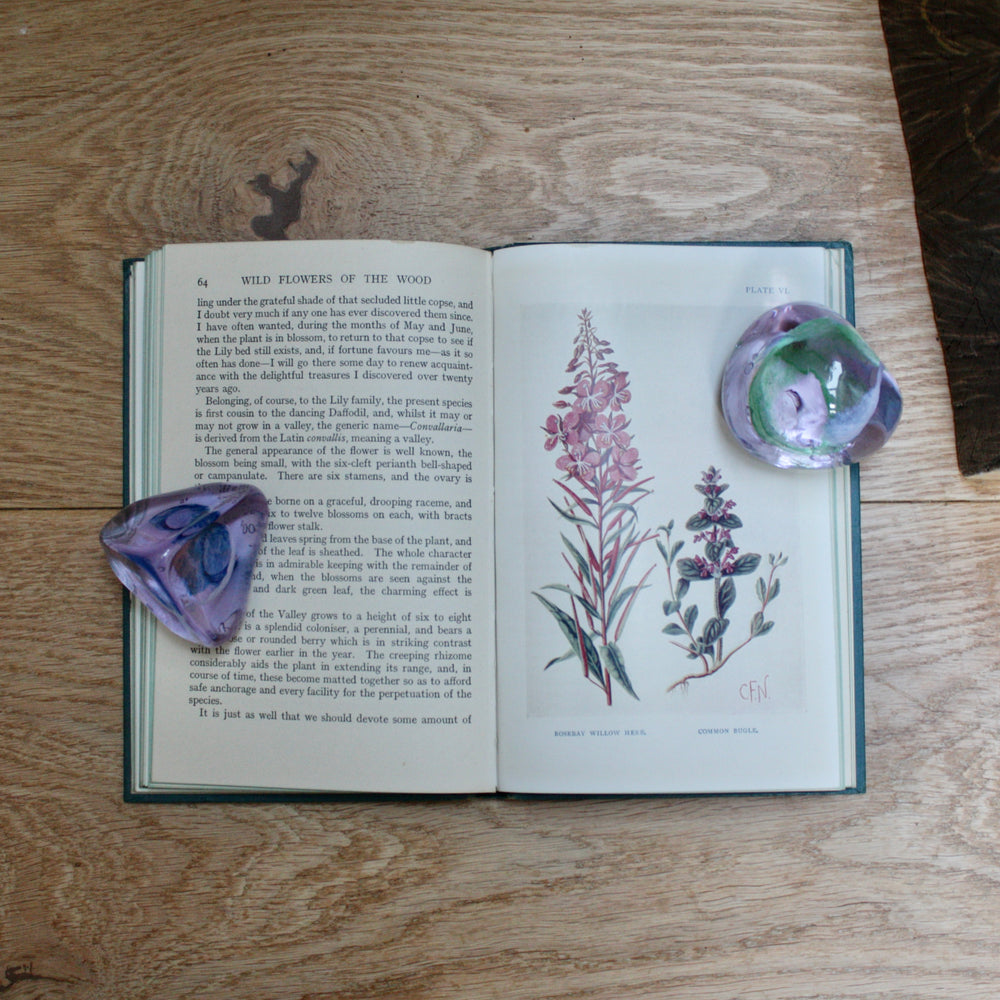 
                  
                    the wood "wild flowers in their homes" by w.percival westell,d.s.c' f.l.s.
                  
                