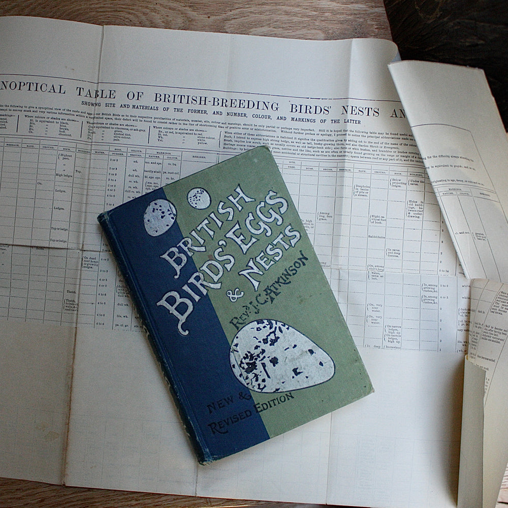 
                  
                    british birds eggs and nests , new & revised edition by Revd. j.c.atkinson.
                  
                