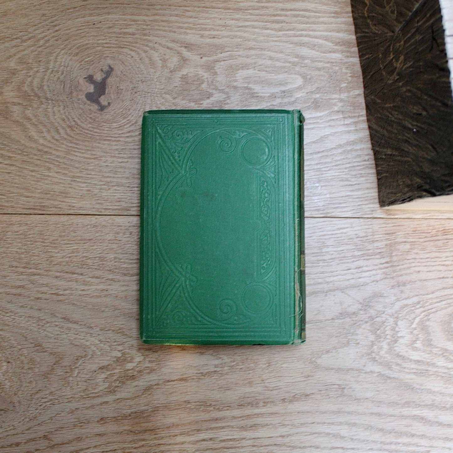 
                  
                    the wonders and beauty of creation
                  
                