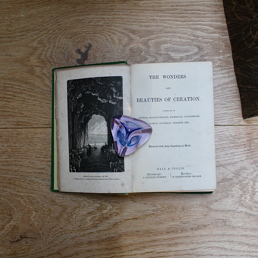 
                  
                    the wonders and beauty of creation
                  
                