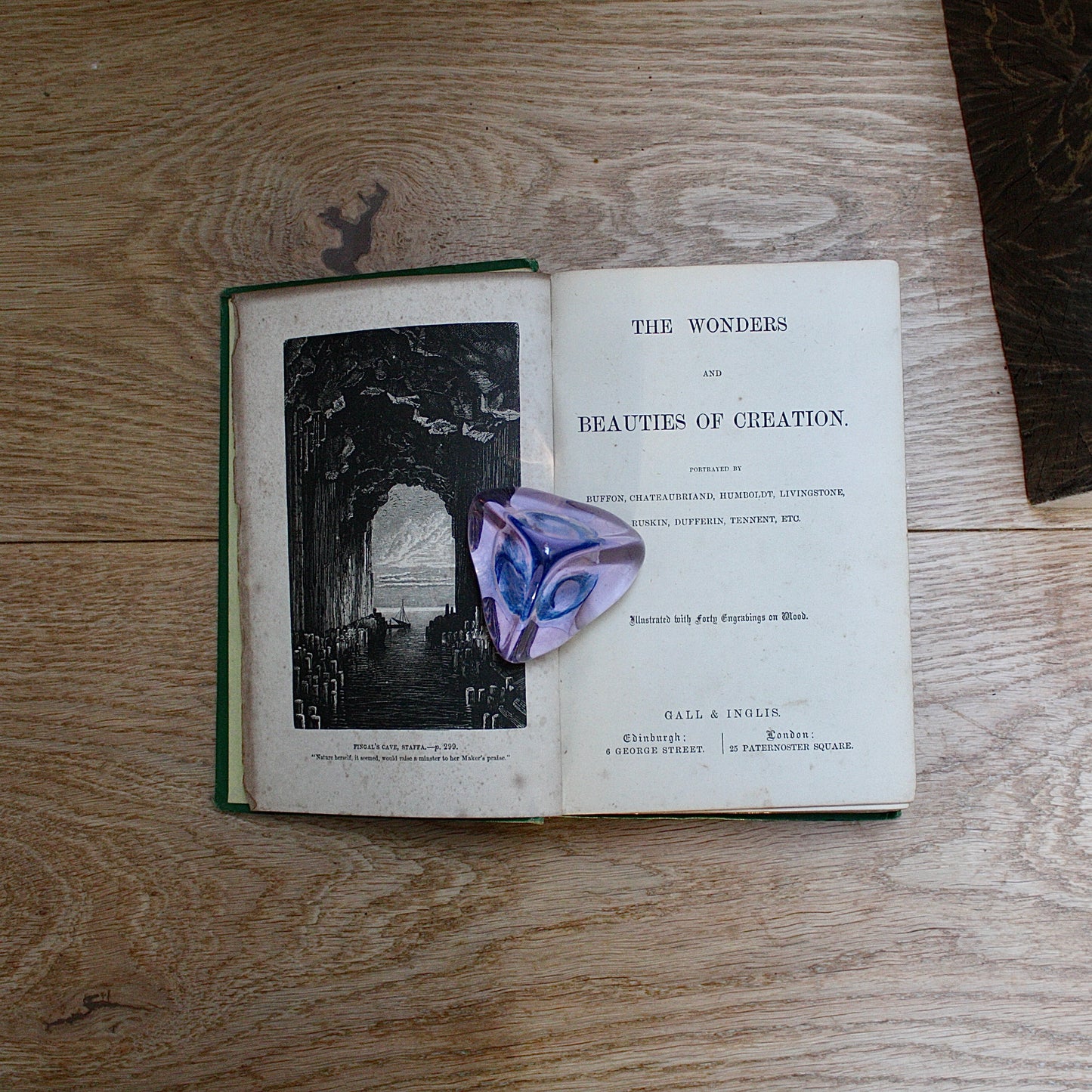 
                  
                    the wonders and beauty of creation
                  
                