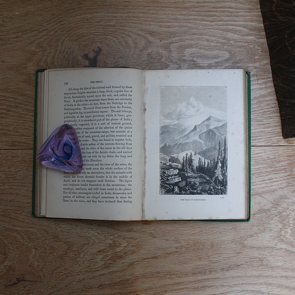 
                  
                    the wonders and beauty of creation
                  
                