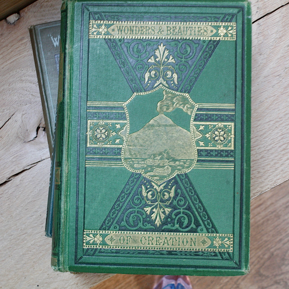 
                  
                    the wonders and beauty of creation
                  
                