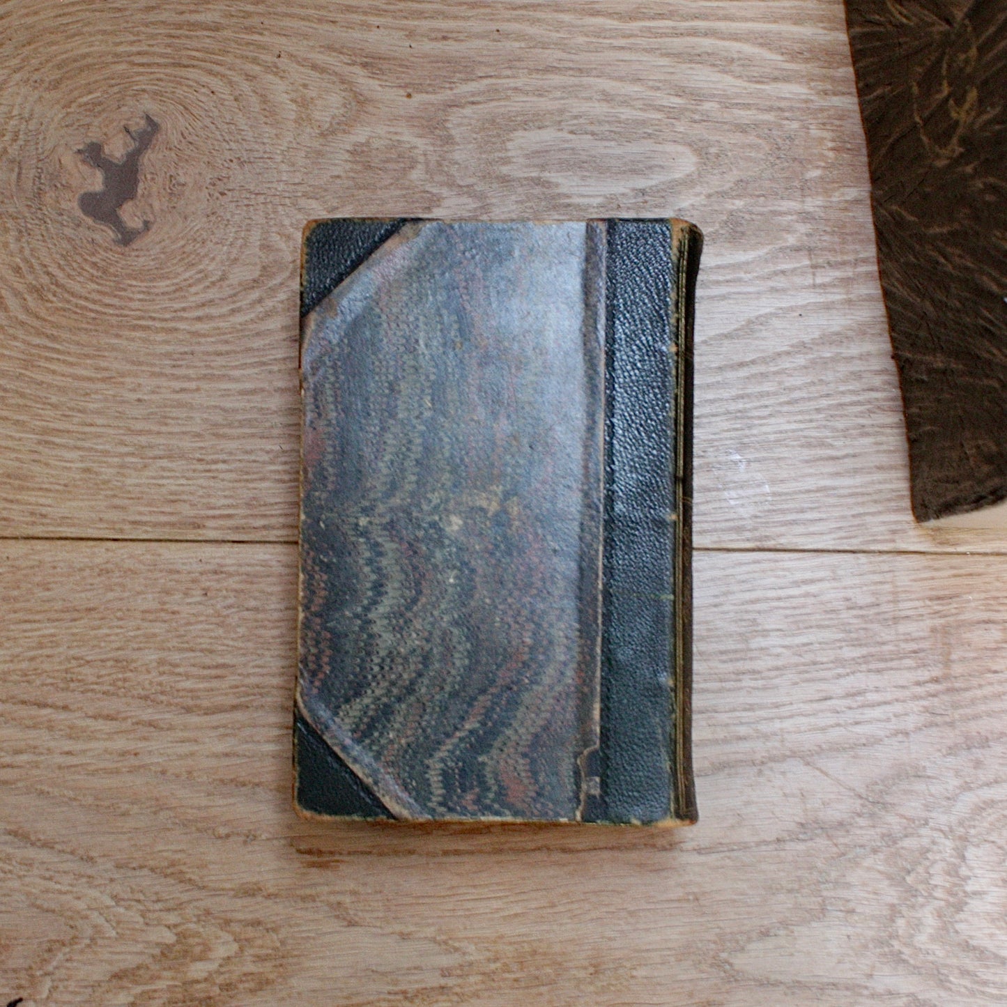 
                  
                    prairie-flower. adventures on the Indian border by Gustave aimard.
                  
                