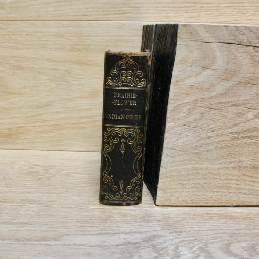 prairie-flower. adventures on the Indian border by Gustave aimard.