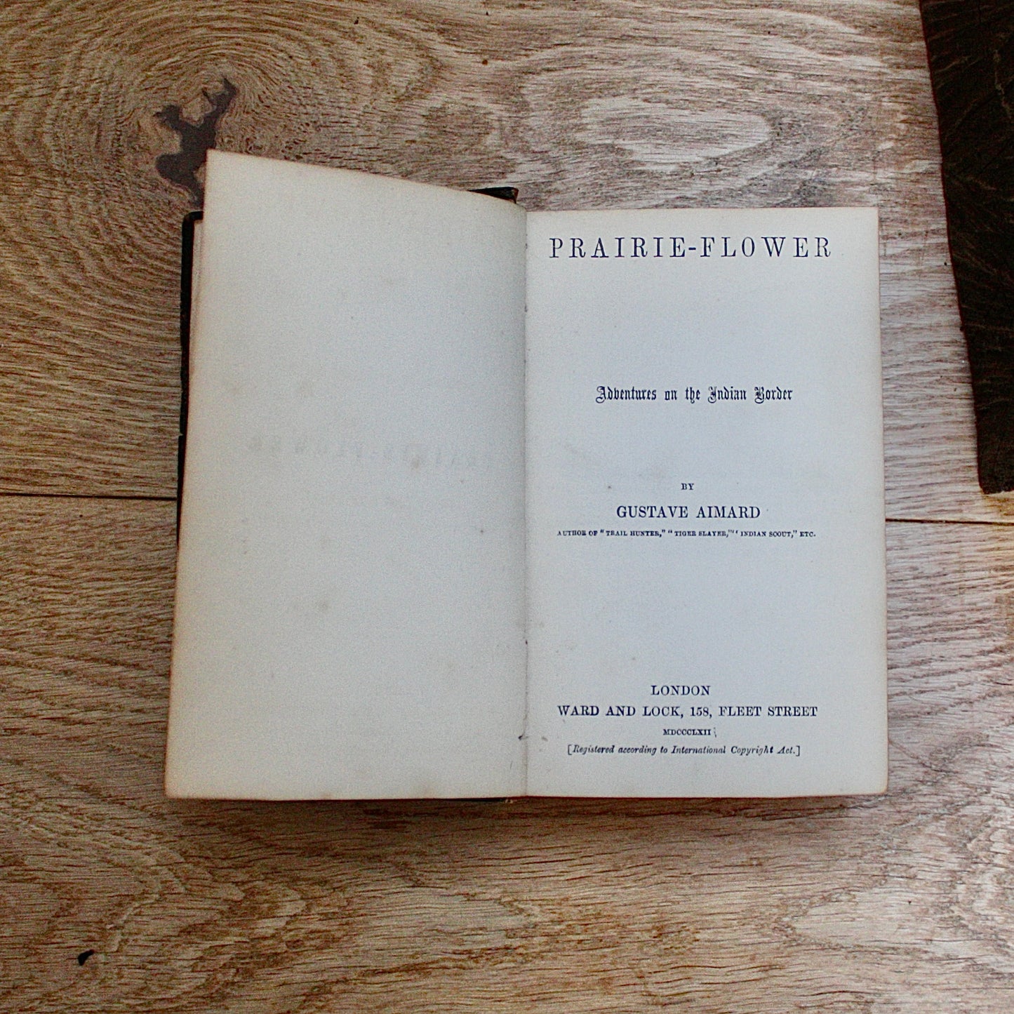
                  
                    prairie-flower. adventures on the Indian border by Gustave aimard.
                  
                
