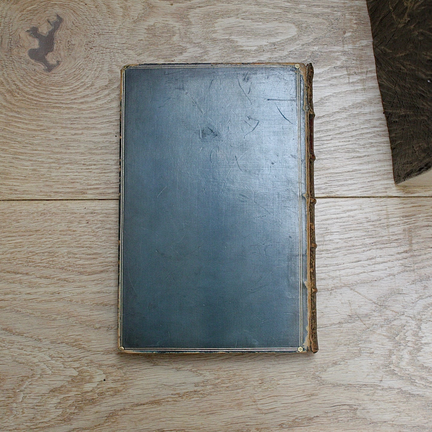 
                  
                    the playtime naturalist by dr.j.e. Taylor, f.l.s. 1889.
                  
                