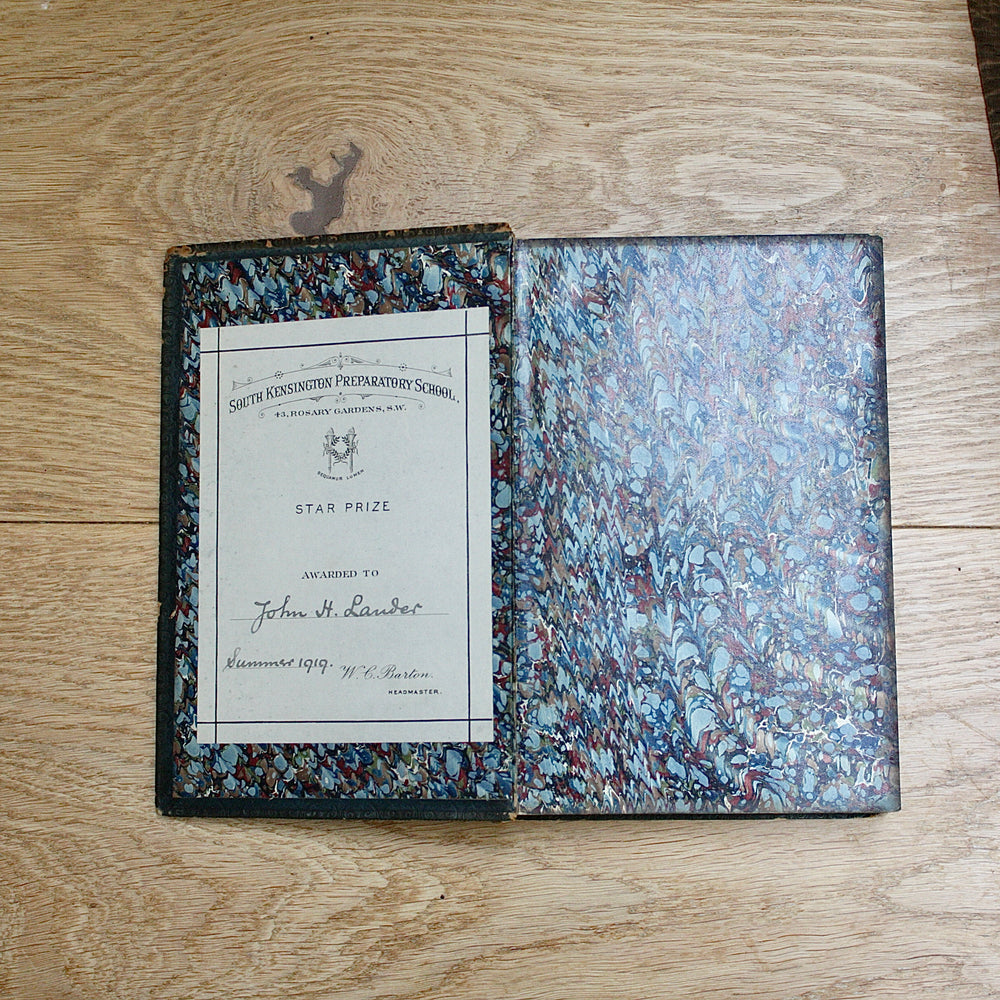 
                  
                    the playtime naturalist by dr.j.e. Taylor, f.l.s. 1889.
                  
                