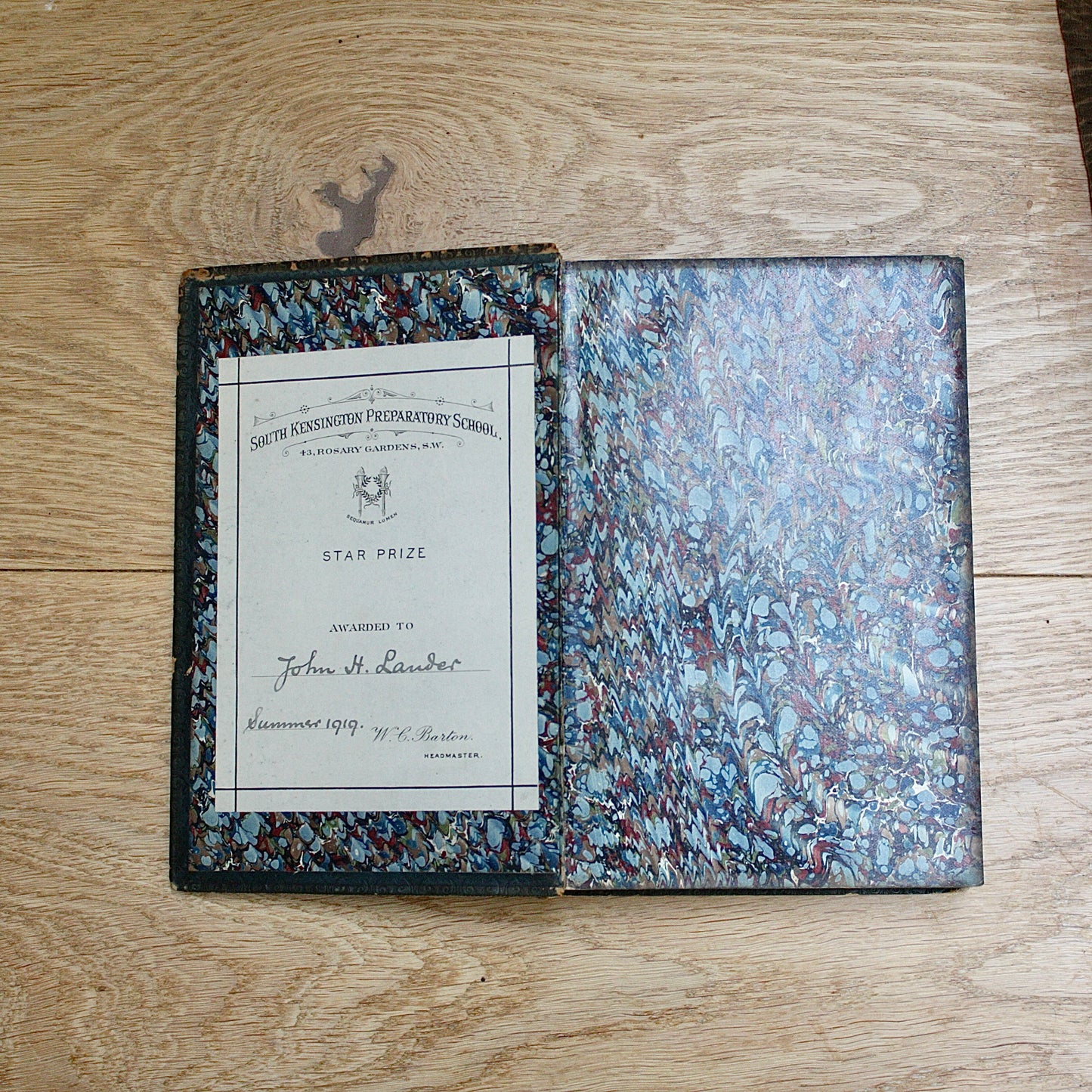 
                  
                    the playtime naturalist by dr.j.e. Taylor, f.l.s. 1889.
                  
                