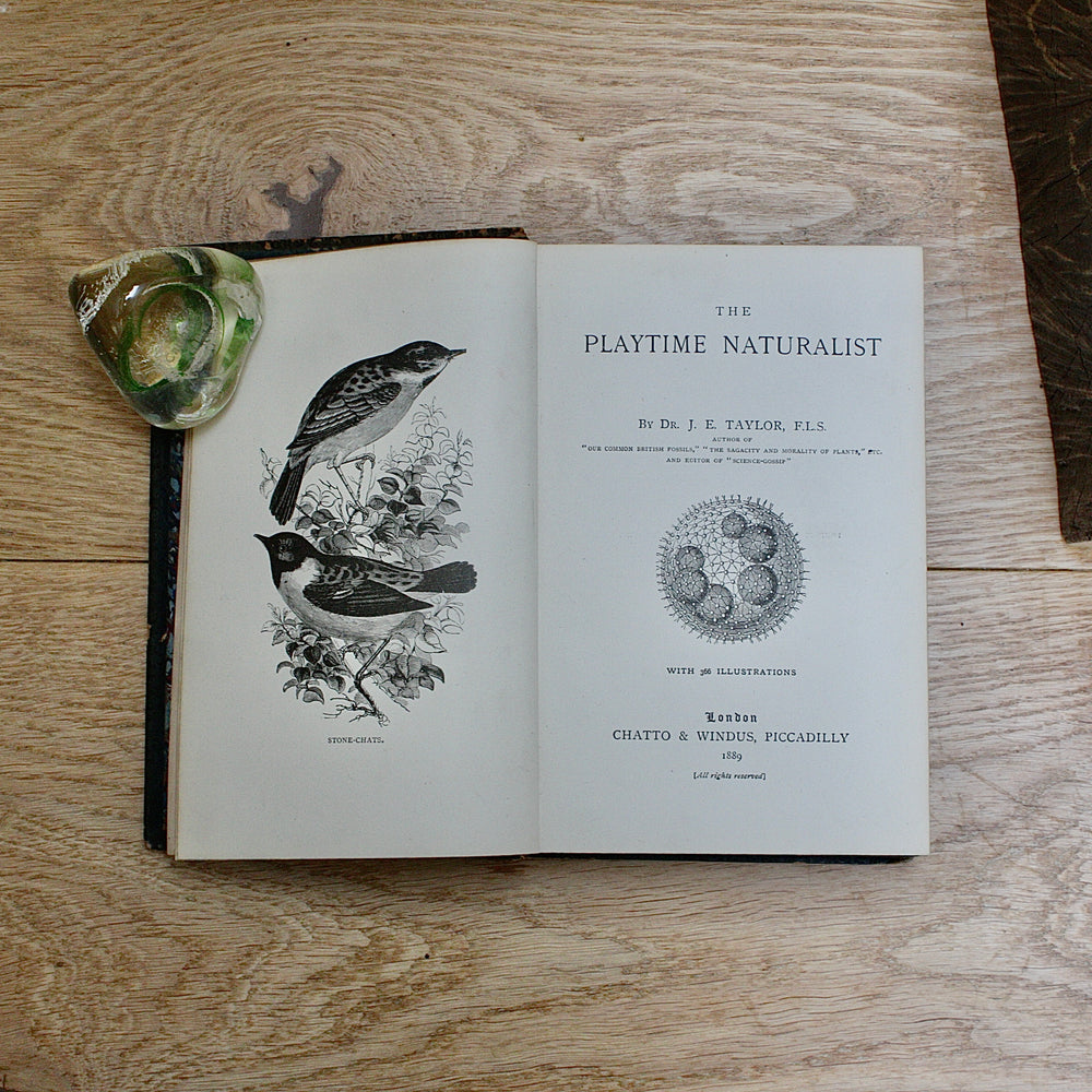 
                  
                    the playtime naturalist by dr.j.e. Taylor, f.l.s. 1889.
                  
                