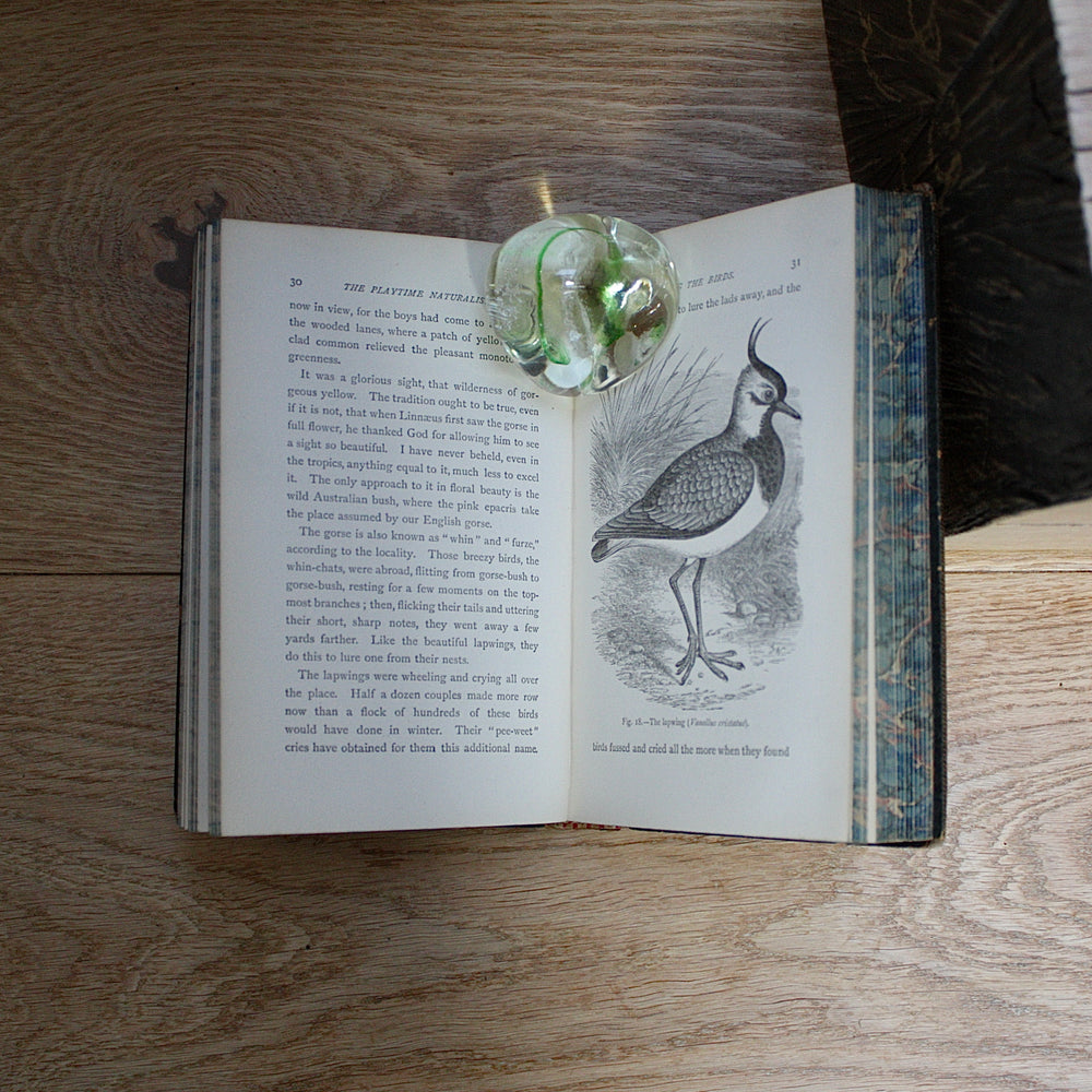 the playtime naturalist by dr.j.e. Taylor, f.l.s. 1889.