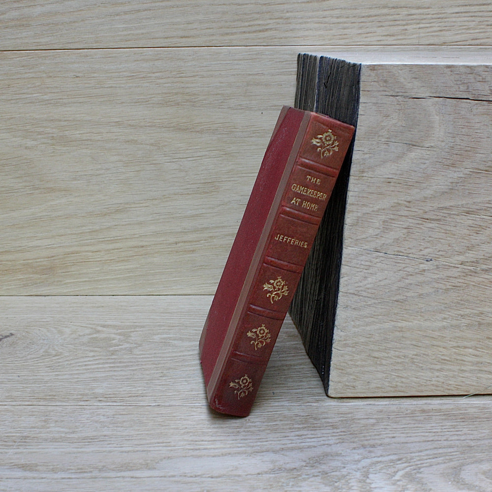 the game keeper at home by Richard Jeffries 1910