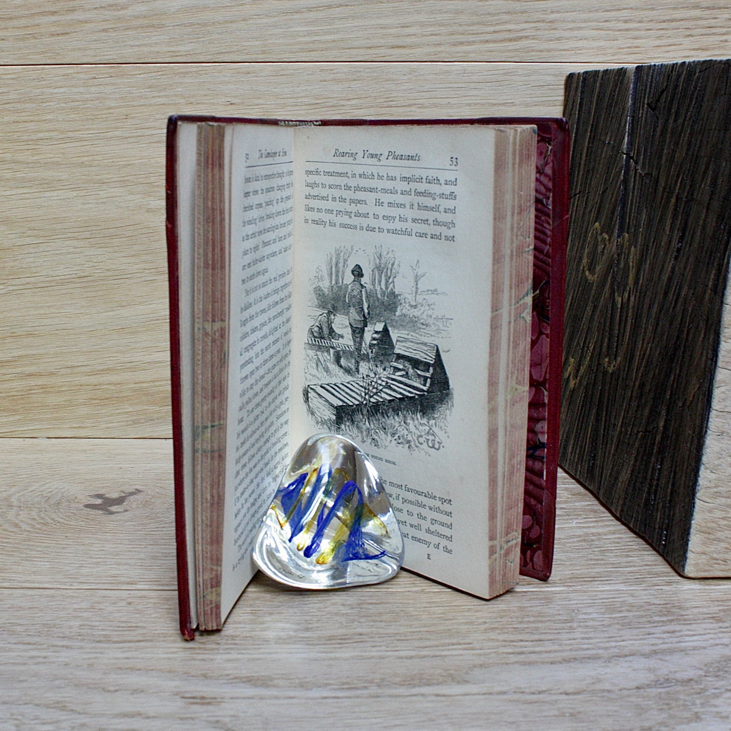 
                  
                    the game keeper at home by Richard Jeffries 1910
                  
                