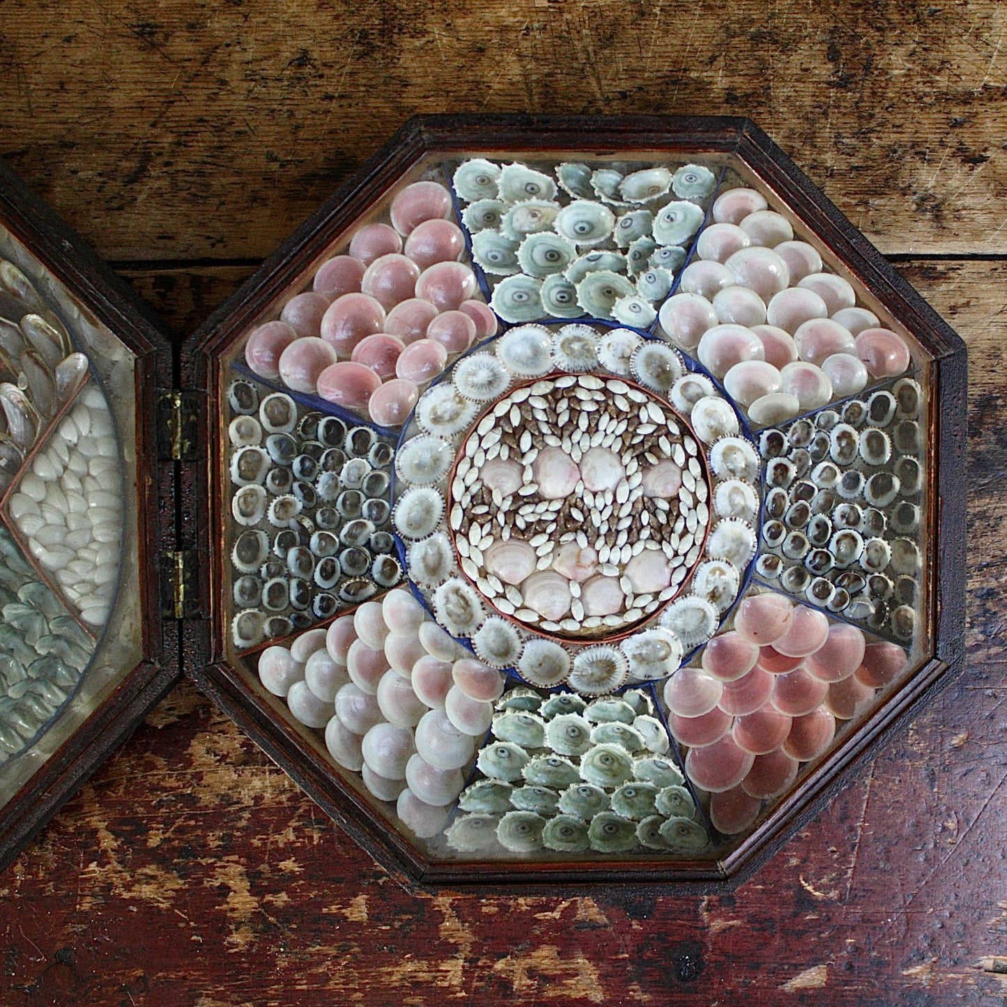 
                  
                    a sailors valentine " home again " with interesting  provenance.
                  
                