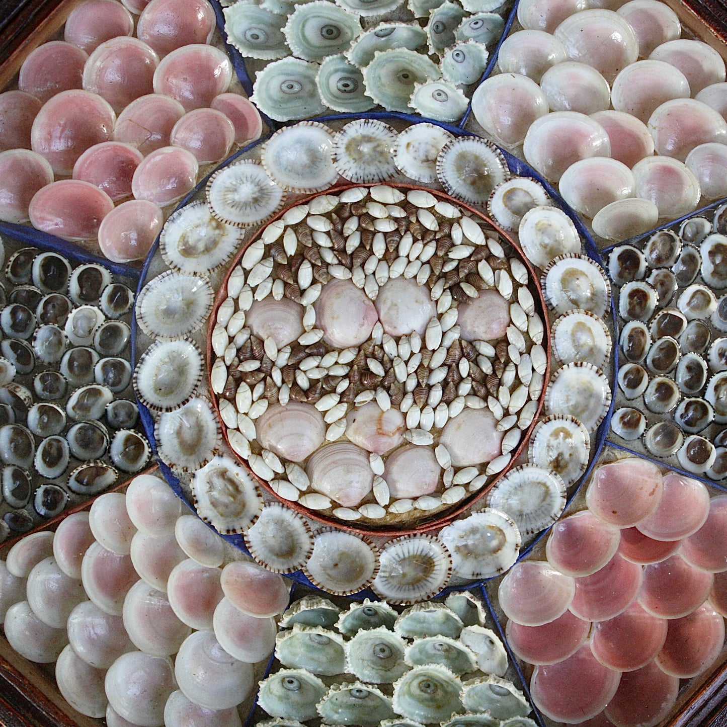 
                  
                    a sailors valentine " home again " with interesting  provenance.
                  
                