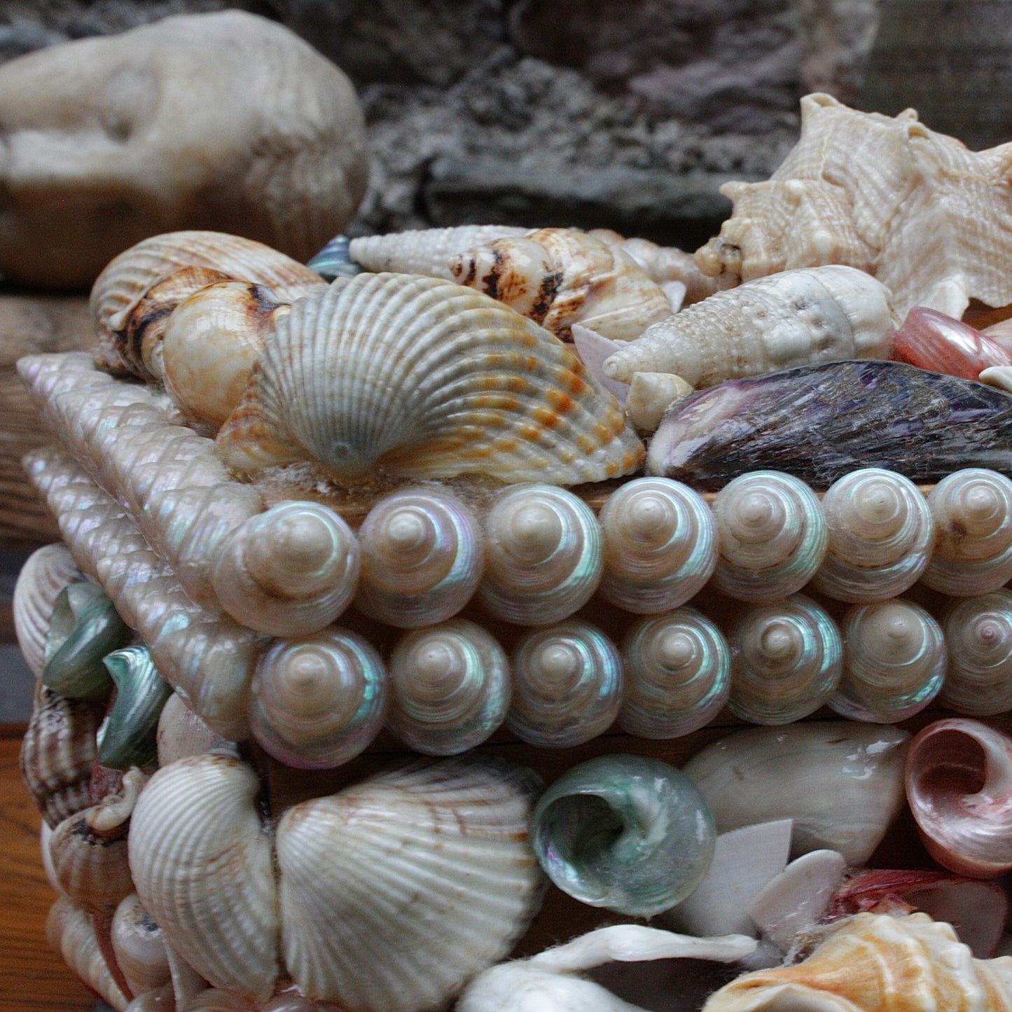 
                  
                    a sweetheart shell box.
                  
                