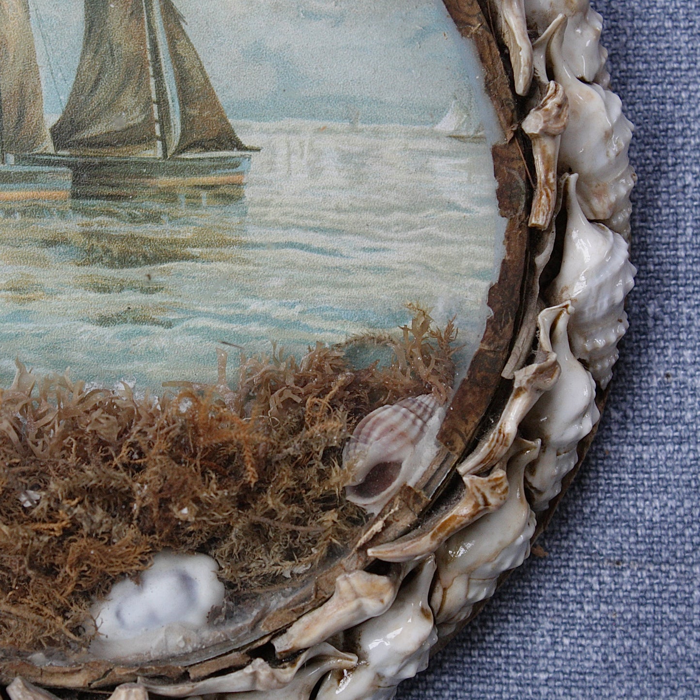 
                  
                    a large Victorian keepsake love token shell valentine roundel no.1
                  
                