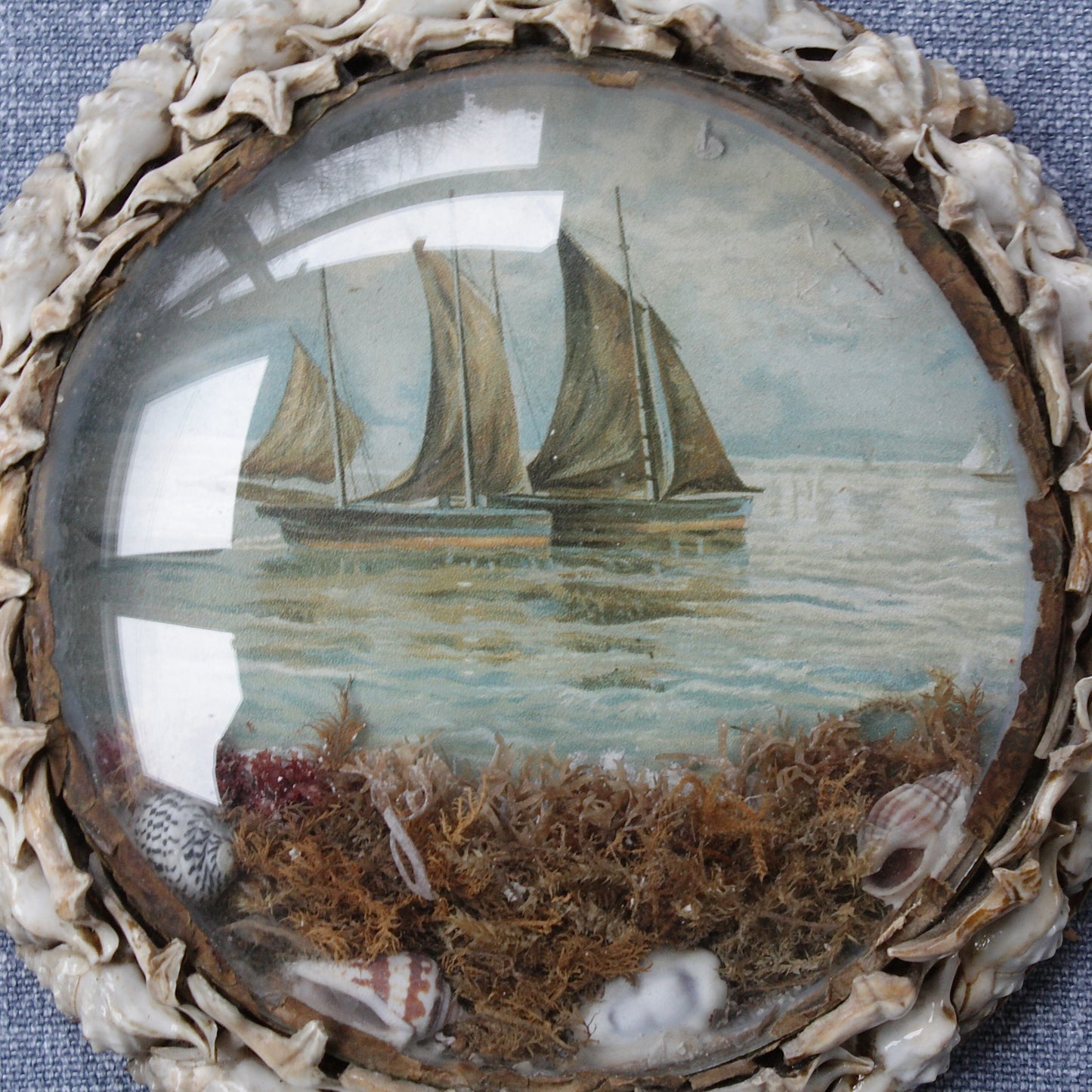 
                  
                    a large Victorian keepsake love token shell valentine roundel no.1
                  
                