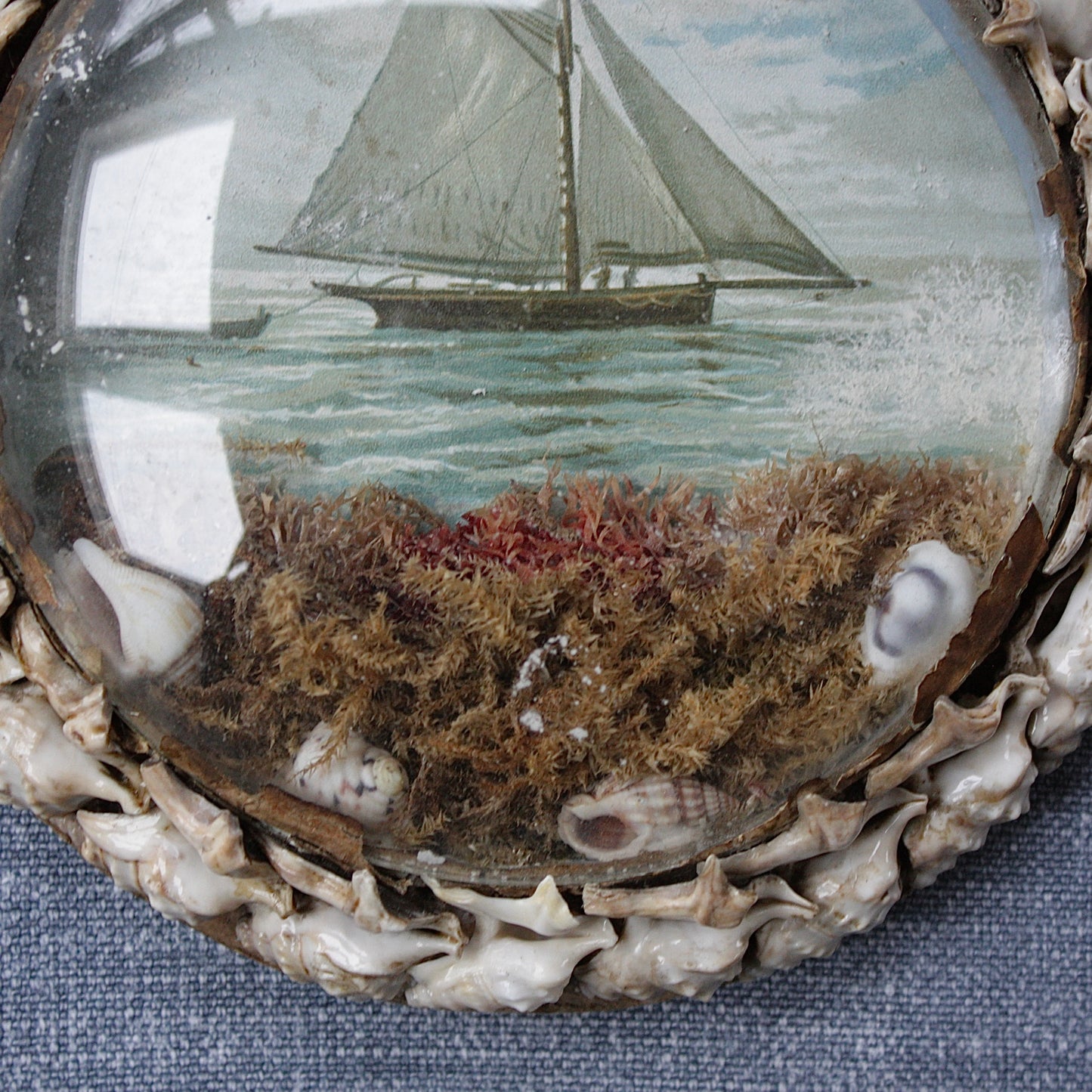 
                  
                    a large victorian keepsake love token shell valentine roundel no.2.
                  
                