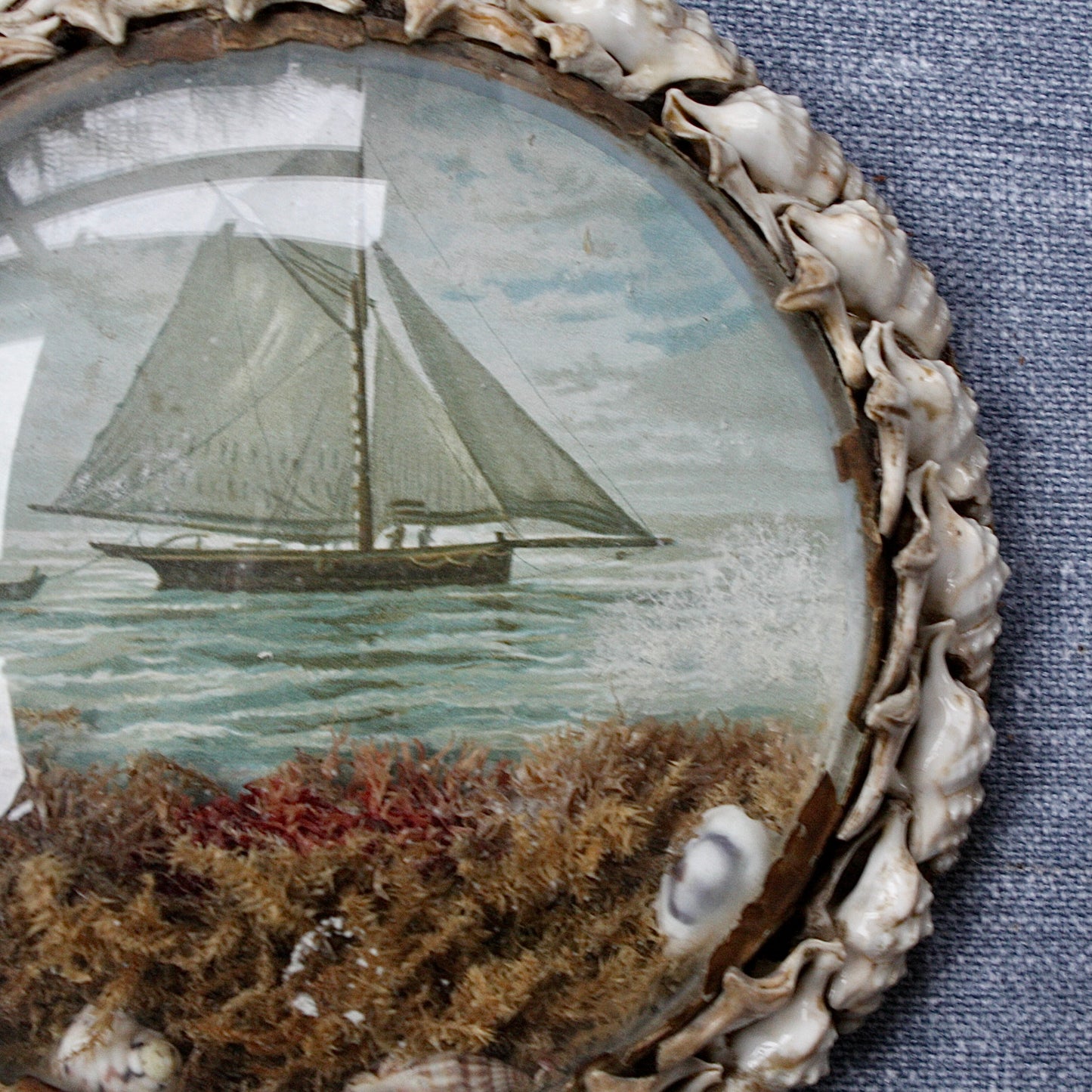 
                  
                    a large victorian keepsake love token shell valentine roundel no.2.
                  
                