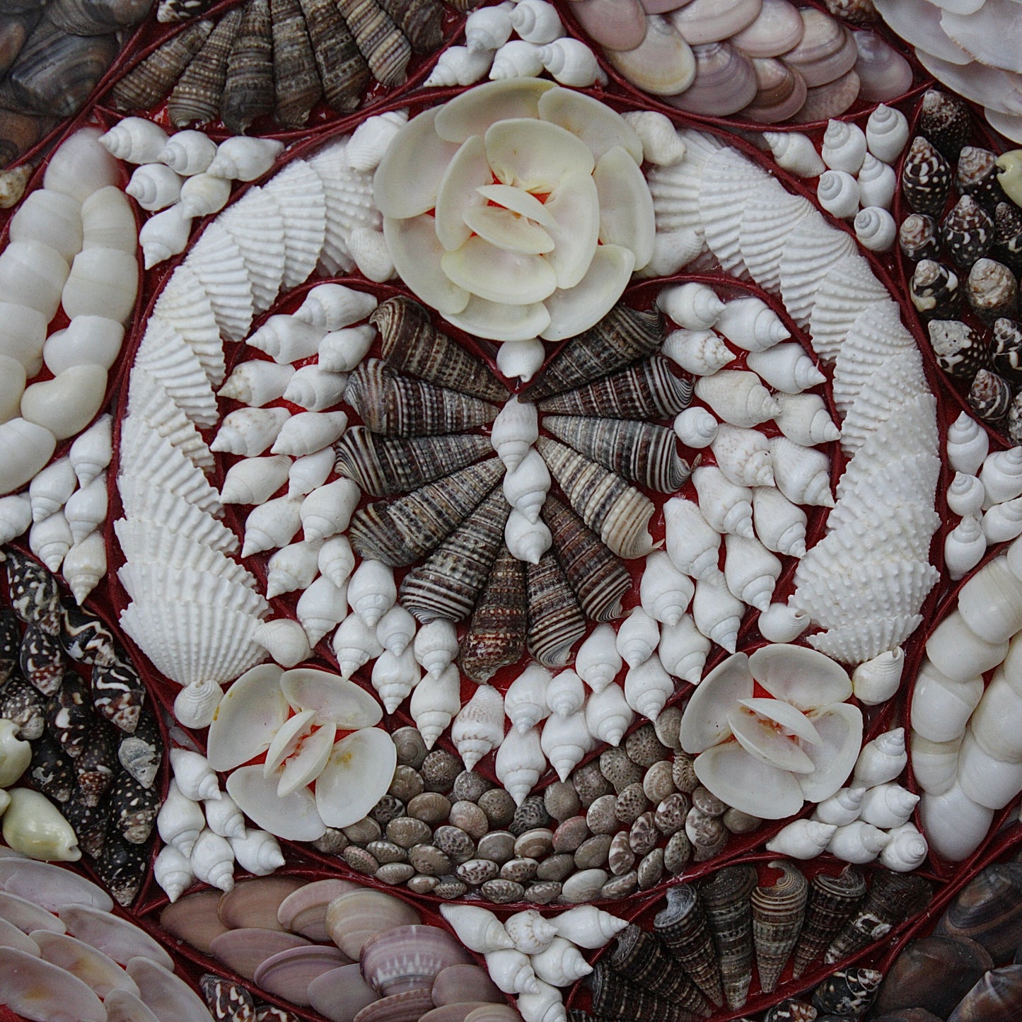 
                  
                    sailors valentine. 20th century shell mosaic.
                  
                